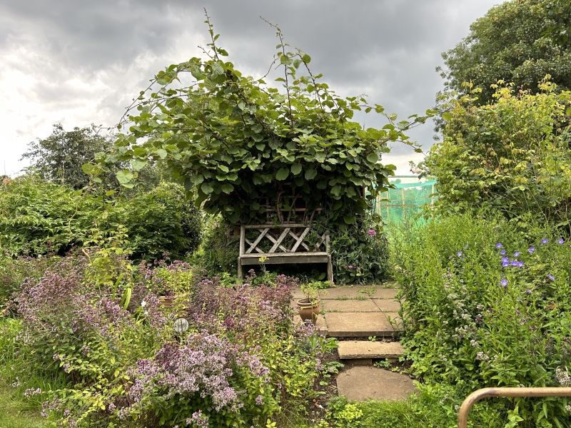 C2C Grows - Community Allotment Garden